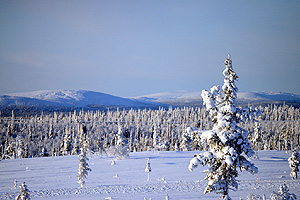 Fells around Saariselkä ski resort