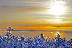 Sunny scene at Saariselkä